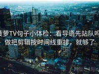 菠萝TV句子小体检：看导语先站队吗，做把剪辑按时间线重排，就够了