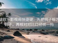 读欧乐影视用快捷键：先把例子标为例子，再核对对比口径统一吗
