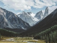 觅圈一分钟小抄：看因果词顺吗→做把轴线读全→读完更稳