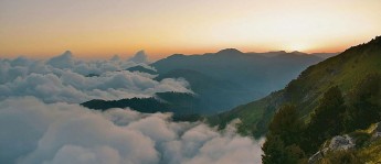 觅圈一分钟小抄：看因果词顺吗→做把轴线读全→读完更稳