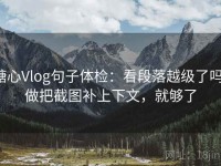糖心Vlog句子体检：看段落越级了吗，做把截图补上下文，就够了